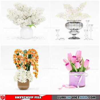 Flower Vase - Sketchup Models By Cuong Covua