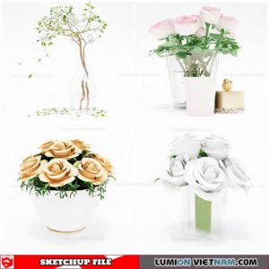 Flower Vase - Sketchup Models By Cuong Covua