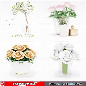 Flower Vase - Sketchup Models By Cuong Covua