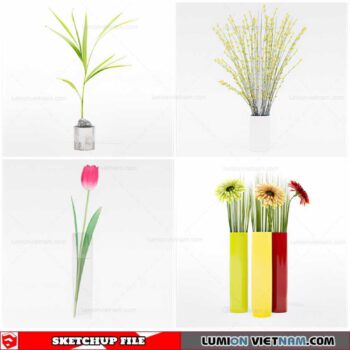 Flower Vase - Sketchup Models By Cuong Covua