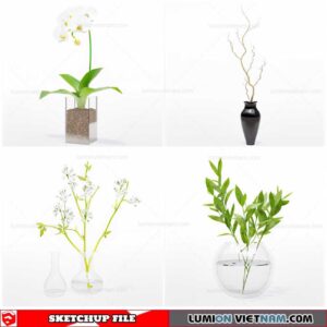 Flower Vase - Sketchup Models By Cuong Covua