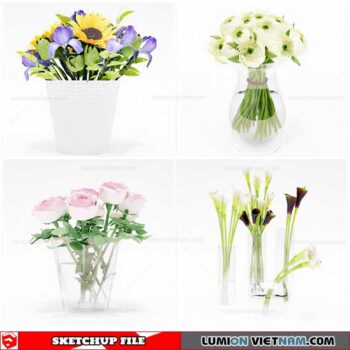 Flower Vase - Sketchup Models By Cuong Covua