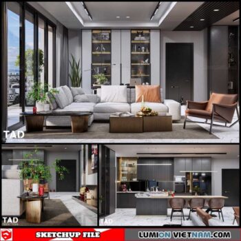 Apartment - Sketchup Interior Scene By Thoai Tran