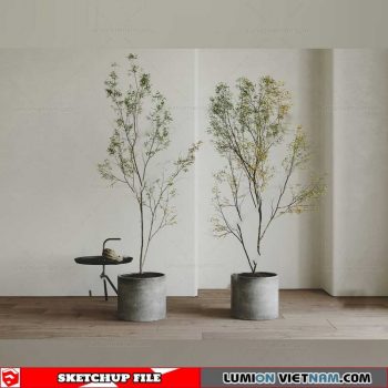 Plant Pots - Sketchup Models By Cuong Covua