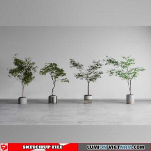 Plant Pots - Sketchup Models By Cuong Covua