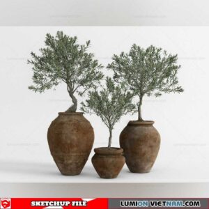 Plant Pots - Sketchup Models By Cuong Covua