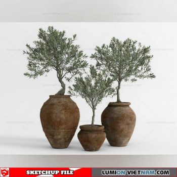 Plant Pots - Sketchup Models By Cuong Covua