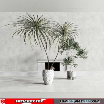 Plant Pots - Sketchup Models By Cuong Covua