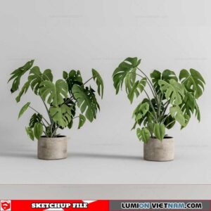 Plant Pots - Sketchup Models By Cuong Covua