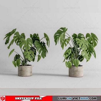 Plant Pots - Sketchup Models By Cuong Covua