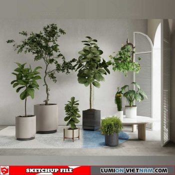 Plant Pots - Sketchup Models By Cuong Covua