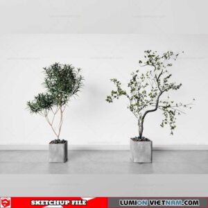 Plant Pots - Sketchup Models By Cuong Covua