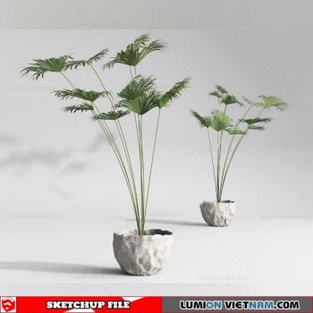 Plant Pots - Sketchup Models By Cuong Covua