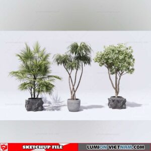 Plant Pots - Sketchup Models By Cuong Covua