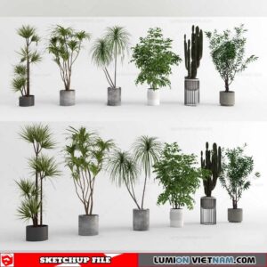 Plant Pots - Sketchup Models By Cuong Covua
