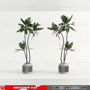 Plant Pots - Sketchup Models By Cuong Covua