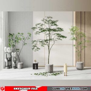 Plant Pots - Sketchup Models By Cuong Covua