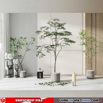 Plant Pots - Sketchup Models By Cuong Covua