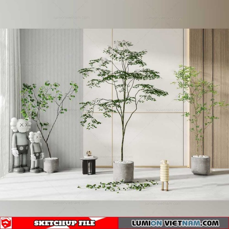 Plant Pots - Sketchup Models By Cuong Covua