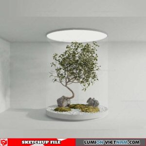 Bonsai Tree - Sketchup Models By Cuong Covua
