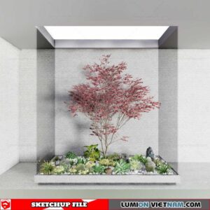 Bonsai Tree - Sketchup Models By Cuong Covua