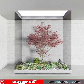 Bonsai Tree - Sketchup Models By Cuong Covua