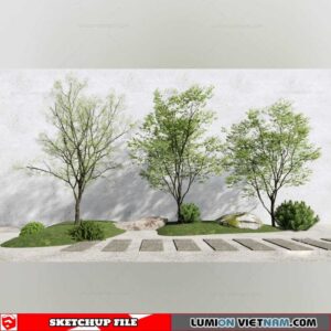 Bonsai Tree - Sketchup Models By Cuong Covua