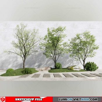 Bonsai Tree - Sketchup Models By Cuong Covua