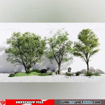 Bonsai Tree - Sketchup Models By Cuong Covua