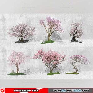 Bonsai Tree - Sketchup Models By Cuong Covua