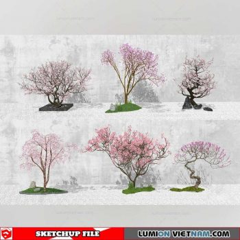 Bonsai Tree - Sketchup Models By Cuong Covua