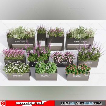 Plant Pots - Sketchup Models By Dinh Thanh