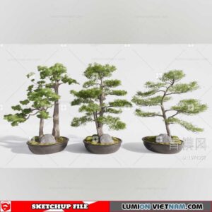 Plant Pots - Sketchup Models By Dinh Thanh