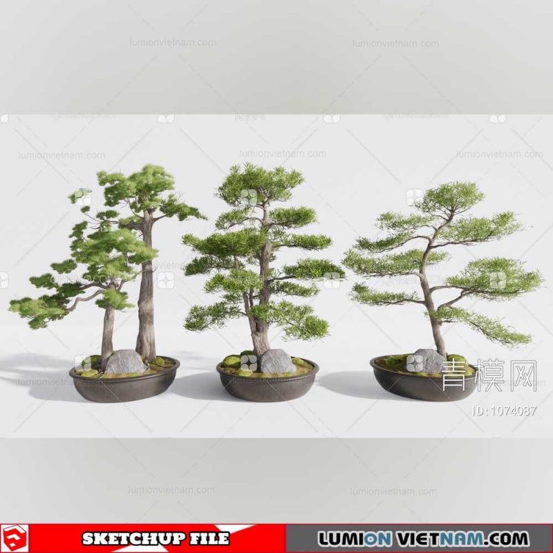 Plant Pots - Sketchup Models By Dinh Thanh