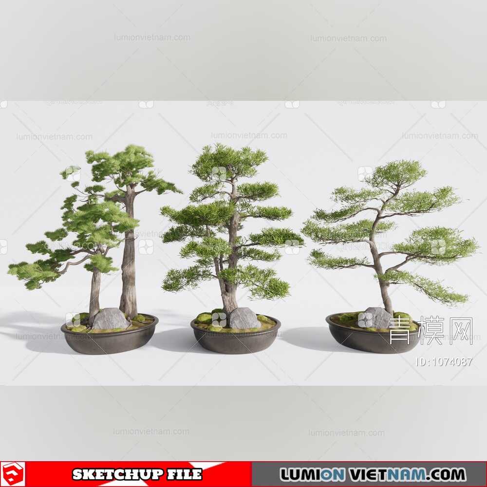 220721-Plant-Pots-(3)-Sketchup-Models