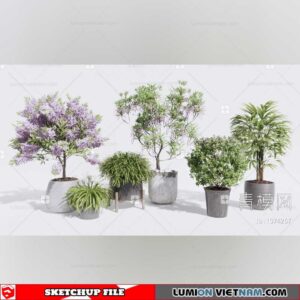 Plant Pots - Sketchup Models By Dinh Thanh