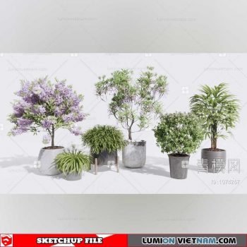 Plant Pots - Sketchup Models By Dinh Thanh