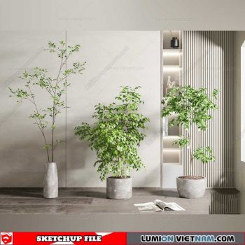 Plant Pots - Sketchup Models By Dinh Thanh