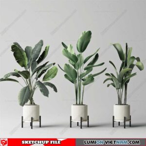 Plant Pots - Sketchup Models By Dinh Thanh