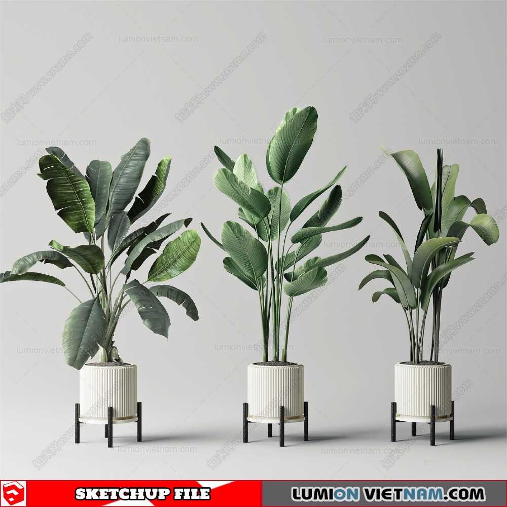 220721-Plant-Pots-(6)-Sketchup-Models