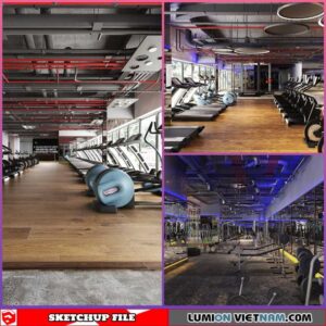 Gymroom - Sketchup Interior Scene By Binh Thanh Tran