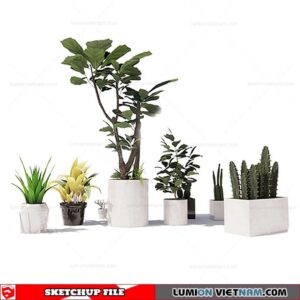 Plant Pots - Sketchup Models By SU84