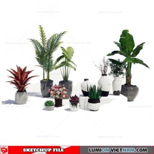 Plant Pots - Sketchup Models By SU84