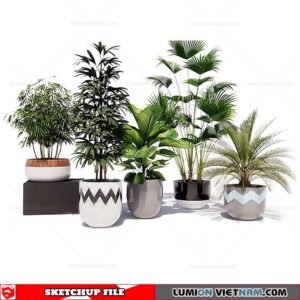 Plant Pots - Sketchup Models By SU84
