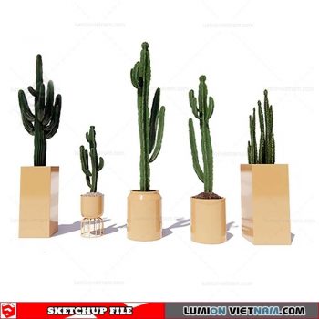 Plant Pots - Sketchup Models By SU84