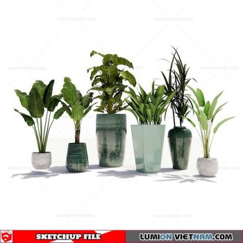 Plant Pots - Sketchup Models By SU84