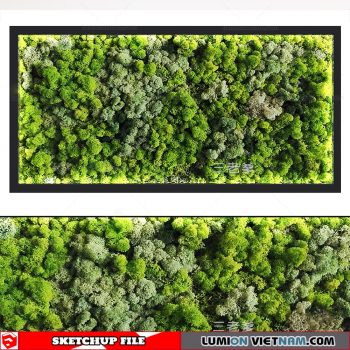 Plant Wall - Sketchup Models By Dinh Thanh
