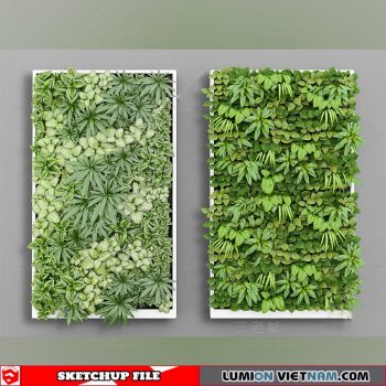 Plant Wall - Sketchup Models By Dinh Thanh