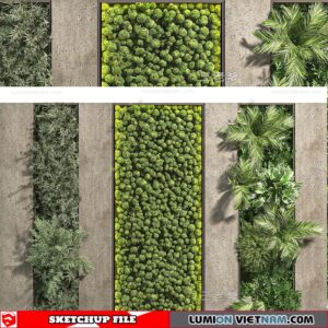 Plant Wall - Sketchup Models By Dinh Thanh