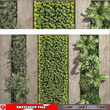Plant Wall - Sketchup Models By Dinh Thanh